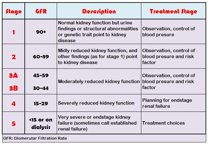 Image result for chronic kidney disease stages